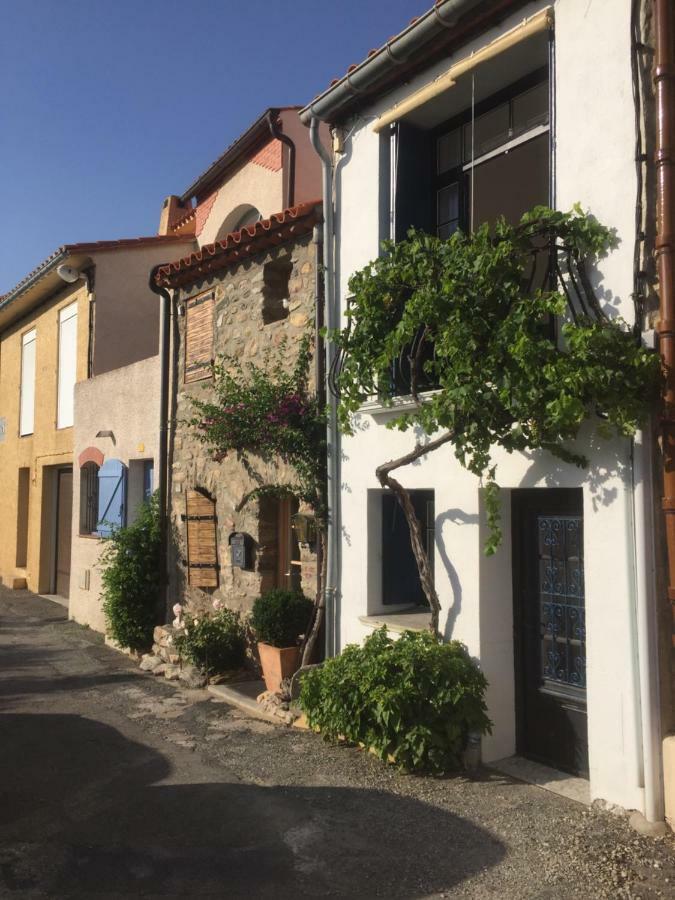 La Maison Blanche Aux Volets Blues Laroque-des-Albères Kültér fotó
